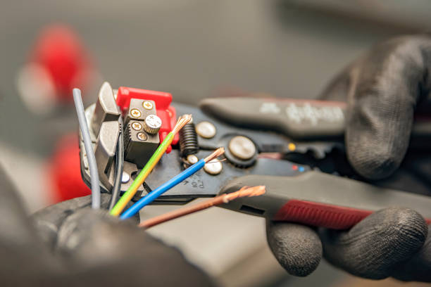 Best Licensed Electrician  in Fruitland, MD