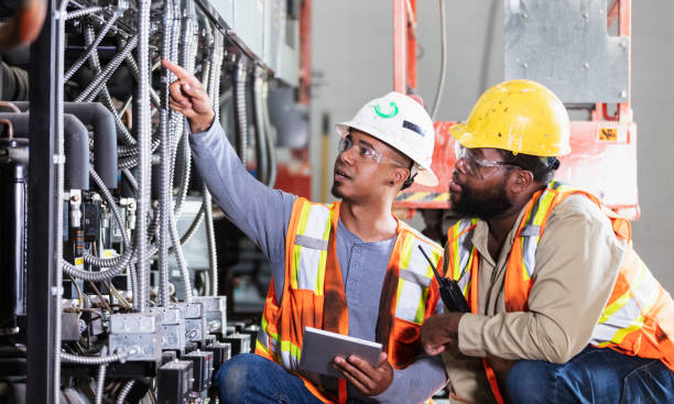 Best Affordable Electrician  in Fruitland, MD