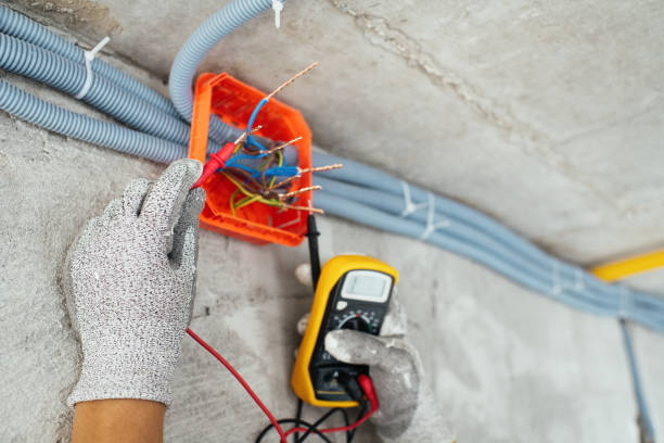 Best Electrical Upgrades for Homes  in Fruitland, MD